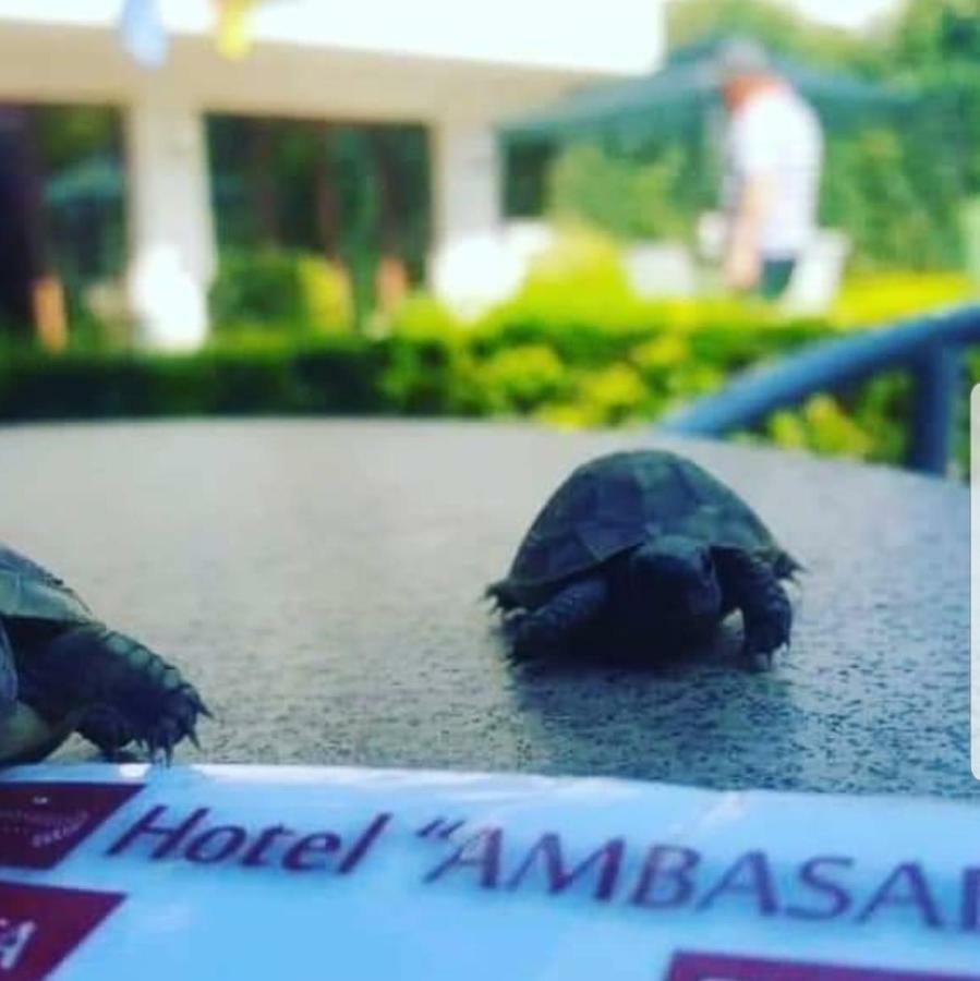 Hotel Ambasador Garden Lezhë エクステリア 写真
